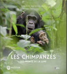Les chimpanzés des Monts de la Lune