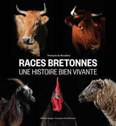 Les races bretonnes, une histoire bien vivante