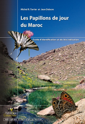 Les Papillons de jour du Maroc