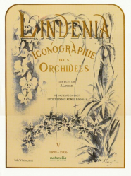 Lindenia Iconographie des orchidées Tome 5   (1898-1906)