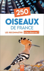 Meilleures ventes de la Editions Suzac : Meilleures ventes de l'éditeur, 250 Oiseaux de France