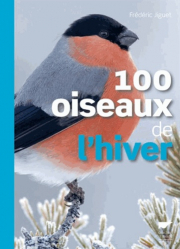 100 oiseaux de l'hiver