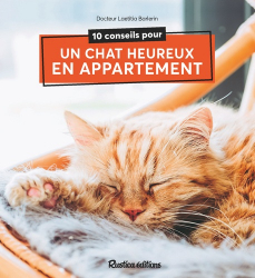 10 conseils pour un chat heureux de vivre en appartement