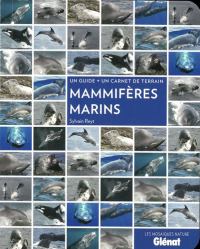Mammifères marins