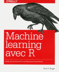 Machine learning avec R : pour une modélisation mathématique rigoureuse
