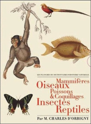 Mammifères ; Oiseaux ; Poissons & coquillages ; Insectes ; Reptiles