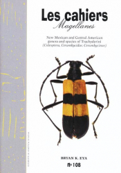 New Mexican and Central American genera and species of Trachyderini