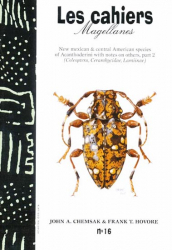New Mexican and central American species of Acanthoderini with notes on others  Part II