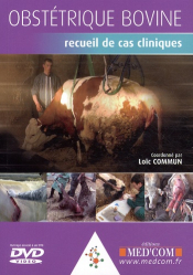 Obstétrique bovine : recueil de cas cliniques