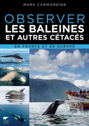 Observer les baleines en France et en Europe