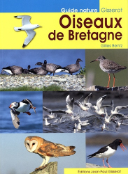Oiseaux de Bretagne