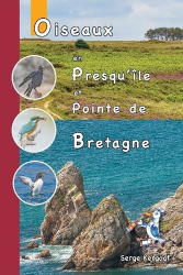 Oiseaux de la presqu'ile de Crozon et de la pointe Bretagne