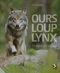 Ours, loup, lynx