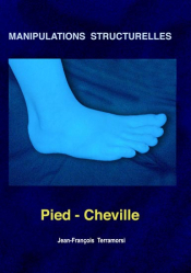 Pied - Cheville
