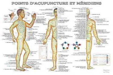 Planche des points d'acupuncture et méridiens avec les indications pathologiques