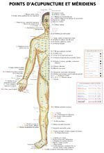 Planches des points d'acupuncture et méridiens
