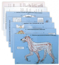 Meilleures ventes de la Editions phu-xuan : Meilleures ventes de l'éditeur, Planches d'acupuncture vétérinaire : chien et chat