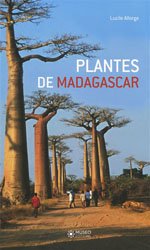 Plante de Madagascar