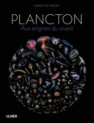 Plancton