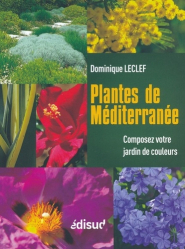 Plantes de Méditerranée