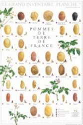 Affiche Pommes de Terre de France