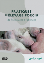 Pratiques en élevage porcin : de la naissance à l'abattage