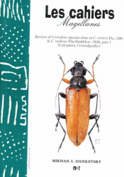 Reviews of Cordotera Species close to C. reitteri Plc, 1891 and C. ruthena Plavilshikov, 1936, part I