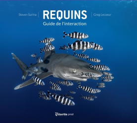 Requins. Guide de l'interaction