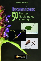 Reconnaissez 50 plantes médicinales sauvages