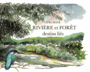 Rivière et forêt
