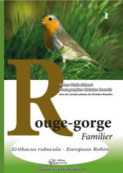 Rouge-gorge familier