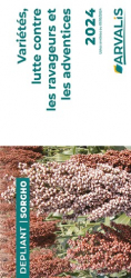 Sorgho : variétés, lutte contre les mauvaises herbes et ravageurs - 2024