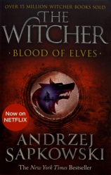 The Witcher 1: Blood Of Elves