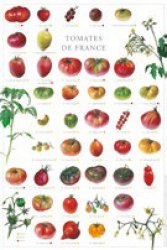 Vous recherchez des promotions en Affiches - Poster, Affiche Tomates de France