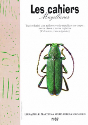 Trachyderini com reflexos verde-metalicos no corpo: novos taxon e novos registros