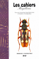 Two New Lepturinae from North Asia