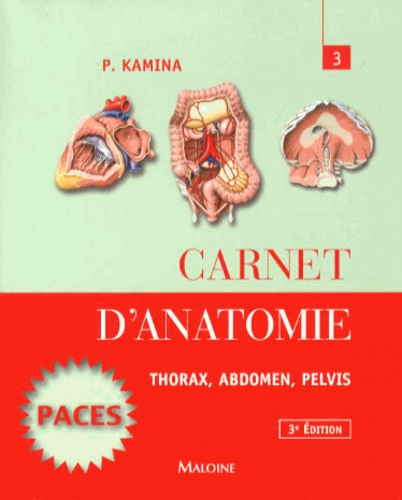 Carnet d'anatomie 3 - maloine - 9782224033804 - 