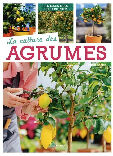 La culture des agrumes - artemis - 9782816020823 - 